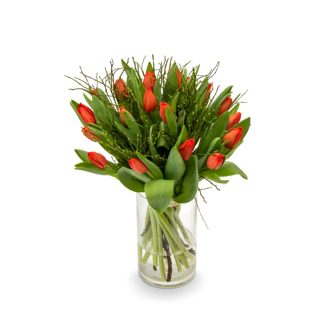 Bouquet of red tulips